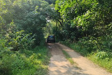 [FLAT LAND] Agriculture Land Batang Kali, Selangor For Sale