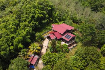 Jungle Retreat Batang Kali, Selangor For Sale