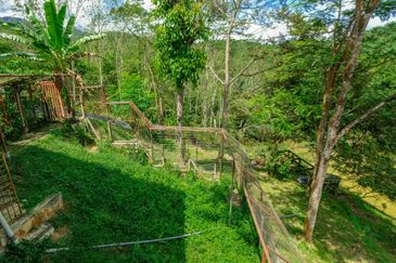 Jungle Retreat Batang Kali, Selangor For Sale