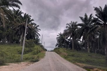 [DEKAT UITM] Residential Development Land Kampung Paya Lebar, Rembau For Sale