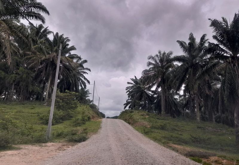 [DEKAT UITM] Residential Development Land Kampung Paya Lebar, Rembau For Sale