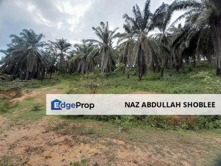 [DEKAT UITM] Residential Development Land Kampung Paya Lebar, Rembau For Sale, Negeri Sembilan, Rembau