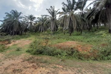 [DEKAT UITM] Residential Development Land Kampung Paya Lebar, Rembau For Sale