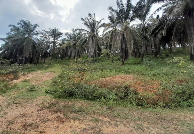 [DEKAT UITM] Residential Development Land Kampung Paya Lebar, Rembau For Sale