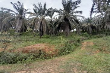 [DEKAT UITM] Residential Development Land Kampung Paya Lebar, Rembau For Sale