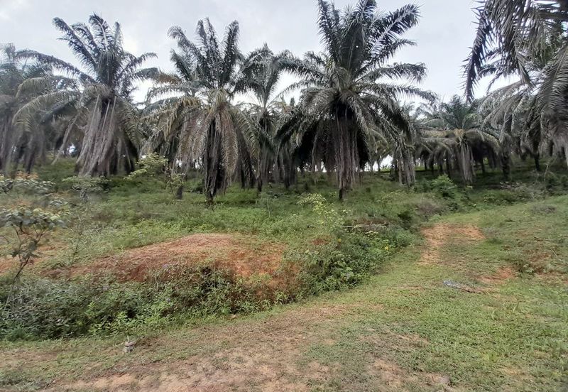 [DEKAT UITM] Residential Development Land Kampung Paya Lebar, Rembau For Sale