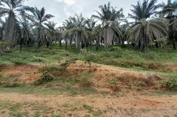 [DEKAT UITM] Residential Development Land Kampung Paya Lebar, Rembau For Sale