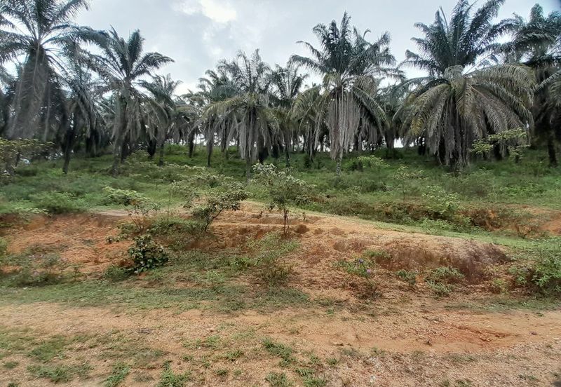 [DEKAT UITM] Residential Development Land Kampung Paya Lebar, Rembau For Sale