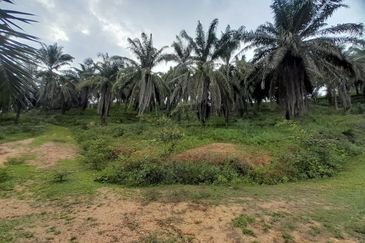 [DEKAT UITM] Residential Development Land Kampung Paya Lebar, Rembau For Sale