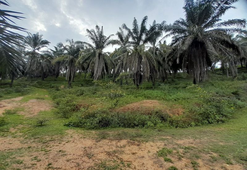 [DEKAT UITM] Residential Development Land Kampung Paya Lebar, Rembau For Sale