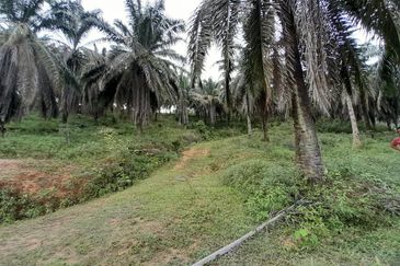 [DEKAT UITM] Residential Development Land Kampung Paya Lebar, Rembau For Sale
