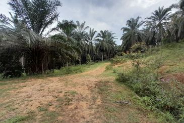 [DEKAT UITM] Residential Development Land Kampung Paya Lebar, Rembau For Sale
