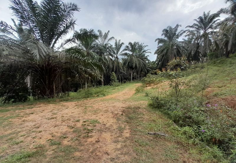 [DEKAT UITM] Residential Development Land Kampung Paya Lebar, Rembau For Sale