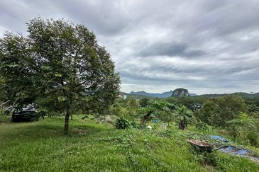 [NEXT TO KARAK TOLL PLAZA] Durian Orchard Bentong, Pahang For Sale