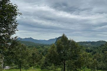 [NEXT TO KARAK TOLL PLAZA] Durian Orchard Bentong, Pahang For Sale