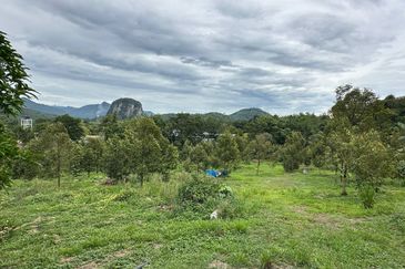 [NEXT TO KARAK TOLL PLAZA] Durian Orchard Bentong, Pahang For Sale