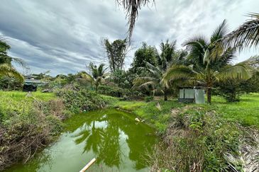 [NEXT TO KARAK TOLL PLAZA] Durian Orchard Bentong, Pahang For Sale