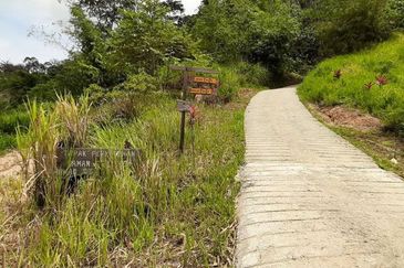 Agriculture Land Kampung Chemperoh, Janda Baik For Sale