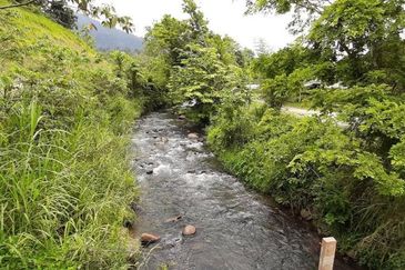 Agriculture Land Kampung Chemperoh, Janda Baik For Sale