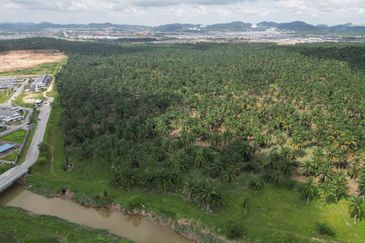 Residential Potential Development Land Saujana Aman, Bandar Seri Coalfields For Sale