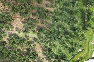 Residential Potential Development Land Saujana Aman, Bandar Seri Coalfields For Sale