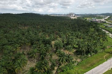 Residential Potential Development Land Saujana Aman, Bandar Seri Coalfields For Sale