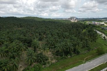 Residential Potential Development Land Saujana Aman, Bandar Seri Coalfields For Sale