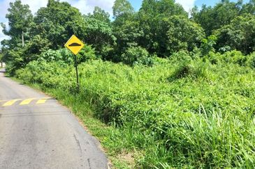 Agriculture Land Bukit Rambai, Melaka For Sale