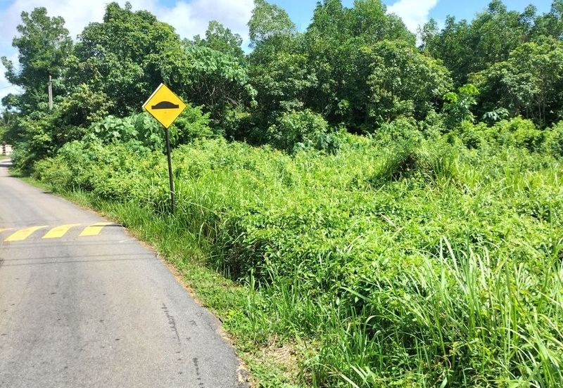 Agriculture Land Bukit Rambai, Melaka For Sale