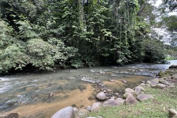 Lubok Manggis, Hulu Langat, Agriculture Land For Sale