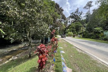 Lubok Manggis, Hulu Langat, Agriculture Land For Sale
