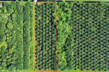 Jalan Kemandol, Jenjarom, Agriculture Land For Sale