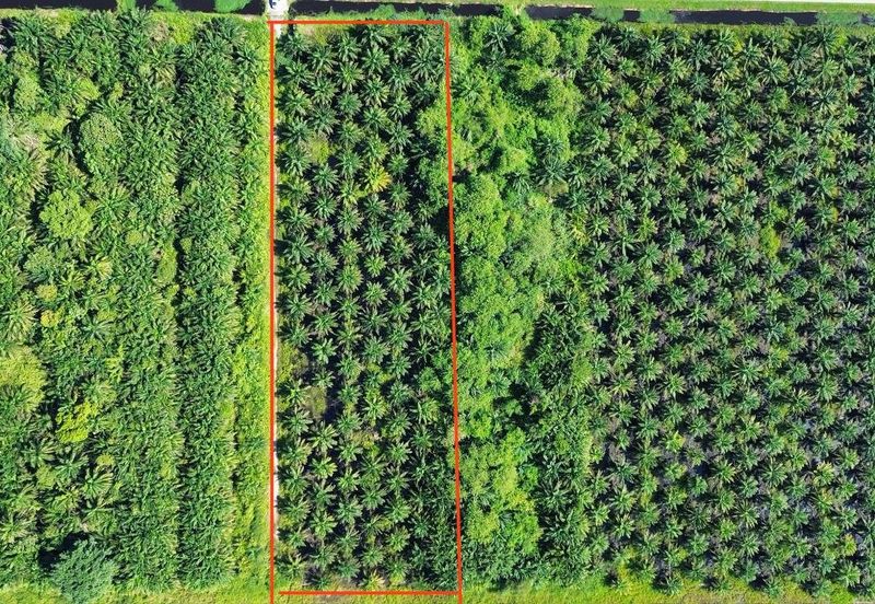 Jalan Kemandol, Jenjarom, Agriculture Land For Sale