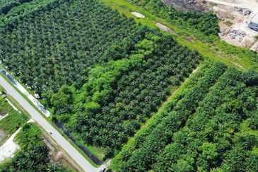 Jalan Kemandol, Jenjarom, Agriculture Land For Sale