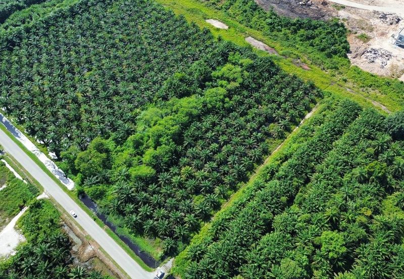 Jalan Kemandol, Jenjarom, Agriculture Land For Sale