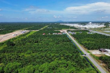 Jalan Kemandol, Jenjarom, Agriculture Land For Sale