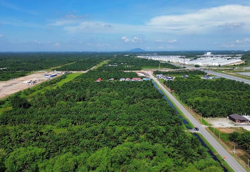 Jalan Kemandol, Jenjarom, Agriculture Land For Sale