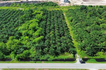 Jalan Kemandol, Jenjarom, Agriculture Land For Sale