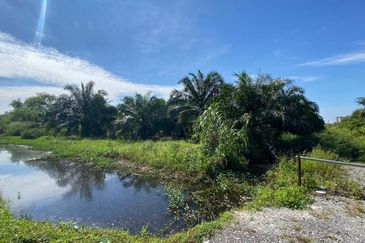 Jalan Kemandol, Jenjarom, Agriculture Land For Sale