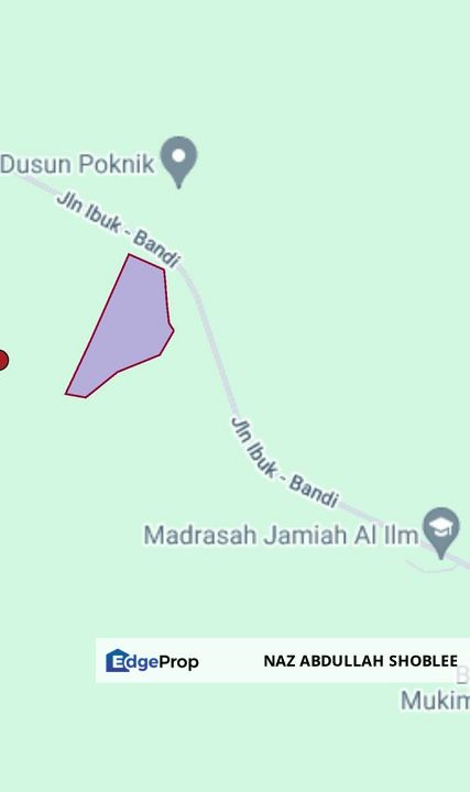 Kampung Ibok, Kemaman, Agriculture Land (Palm Oil) For Sale, Terengganu, Kemaman