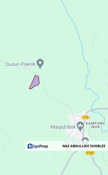 Kampung Ibok, Kemaman, Agriculture Land (Palm Oil) For Sale, Terengganu, Kemaman