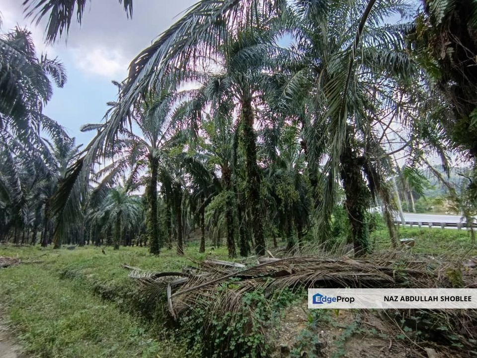 Taman Pagoh Jaya, Bungalow Land (FRONTING MAIN ROAD) For Sale, Johor, Pagoh