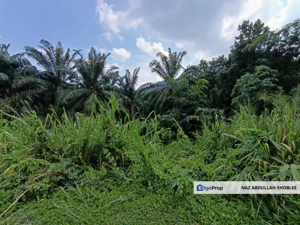 Taman Pagoh Jaya, Bungalow Land (FRONTING MAIN ROAD) For Sale, Johor, Pagoh