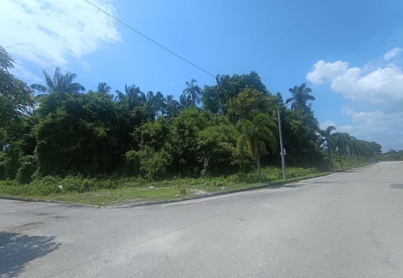 Kampung Sabak Aur, Muar, Commercial Potential Development Land For Sale