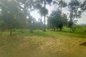 Kampung Cheh, Changkat Jering, Potential Retreat House Land For Sale