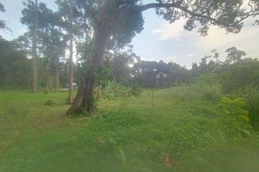 Kampung Cheh, Changkat Jering, Potential Retreat House Land For Sale
