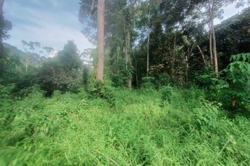 Kampung Cheh, Changkat Jering, Potential Retreat House Land For Sale