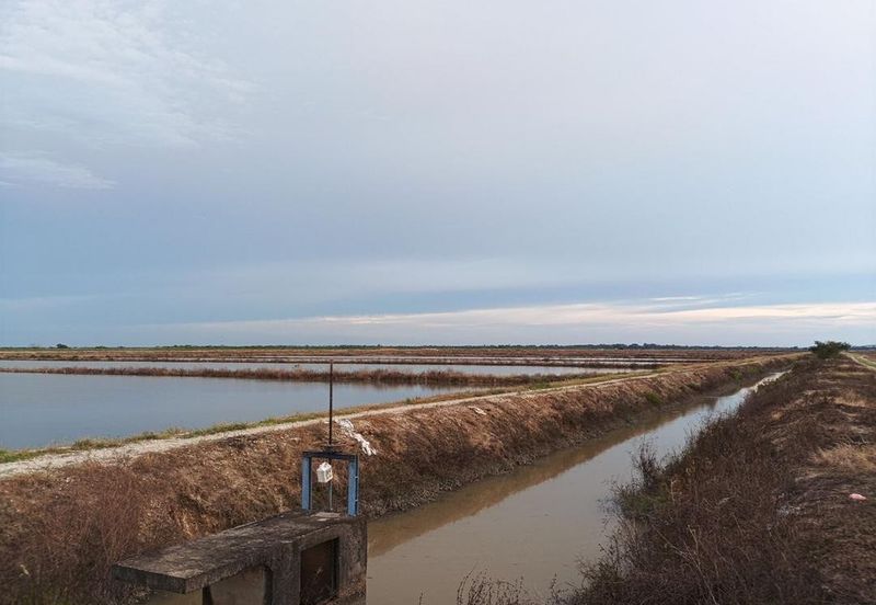 Felcra Changkat Lada, Seberang Perak, 3 Ekar Tanah Sawit, 3 Ekar Tanah Sawah & 1 banglo Lot Untuk Dijual