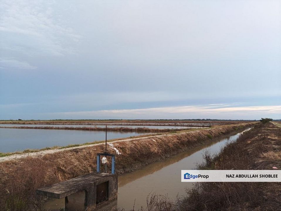 Felcra Changkat Lada, Seberang Perak, 3 Ekar Tanah Sawit, 3 Ekar Tanah Sawah & 1 banglo Lot Untuk Dijual, Perak, Kampong Gajah