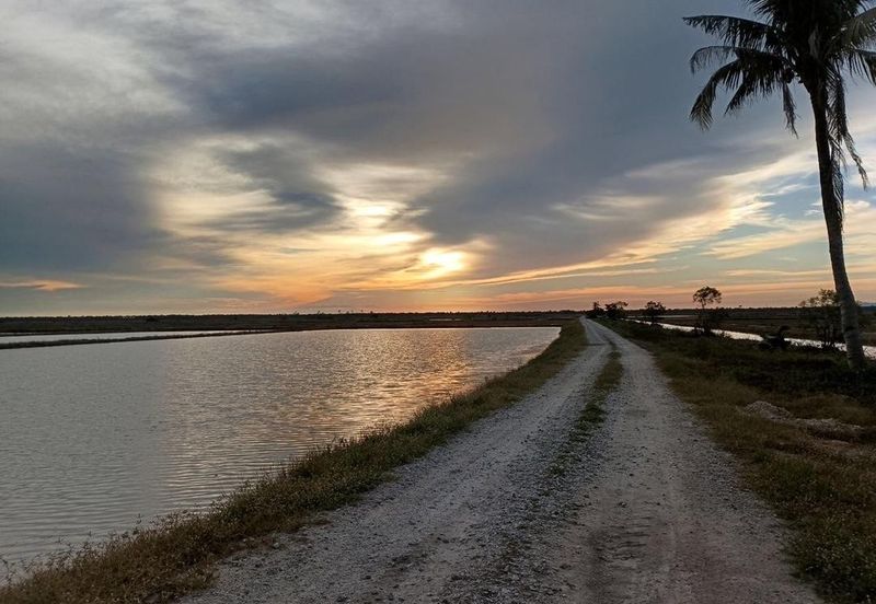 Felcra Changkat Lada, Seberang Perak, 3 Ekar Tanah Sawit, 3 Ekar Tanah Sawah & 1 banglo Lot Untuk Dijual